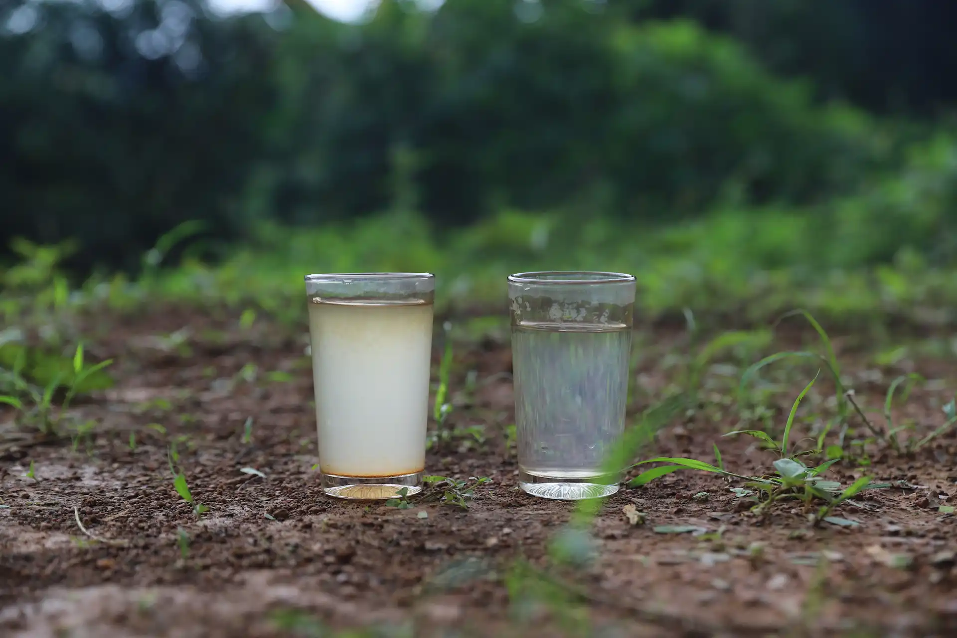 Rice-husk desalination filter dispensing drinking water