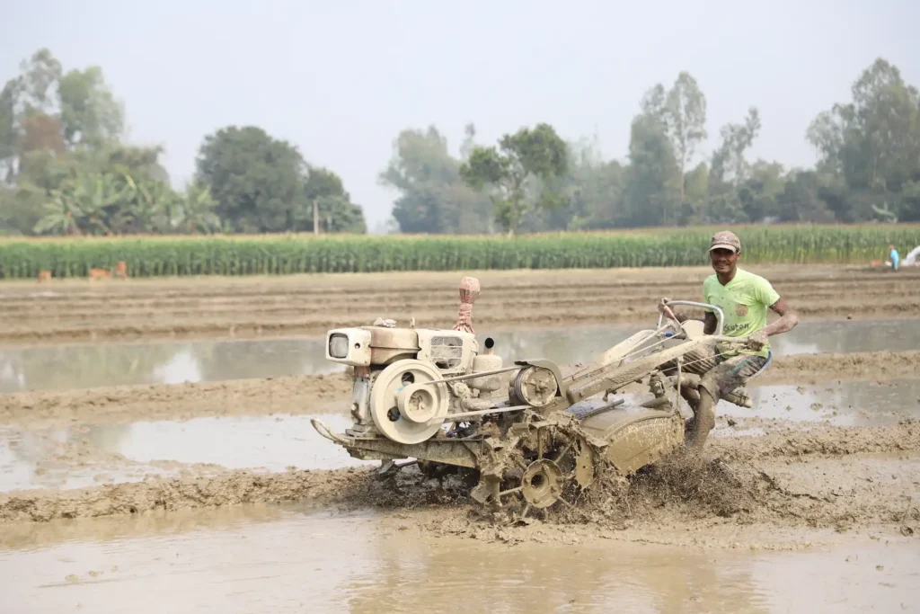 Farmer harvesting improved crop yields on delta farmland
